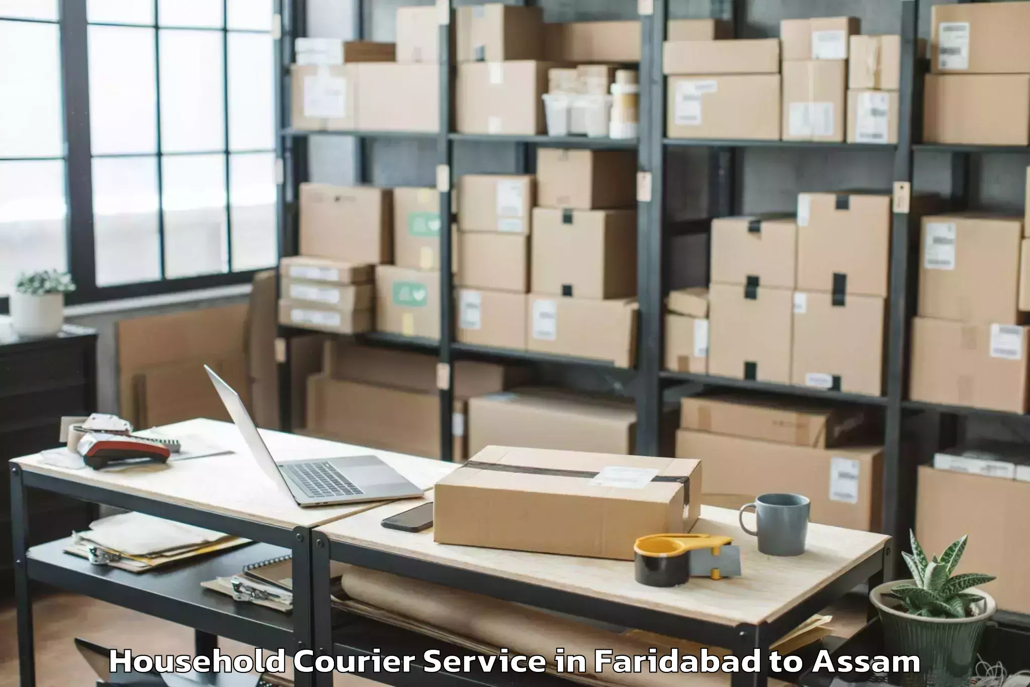 Professional Faridabad to Iit Guwahati Household Courier